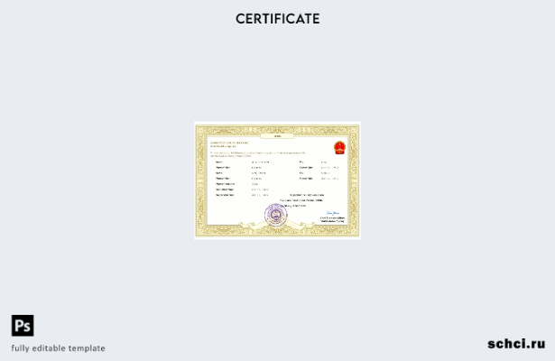 цифровая загрузка китайского свидетельства о браке в формате Word и PDF шаблона